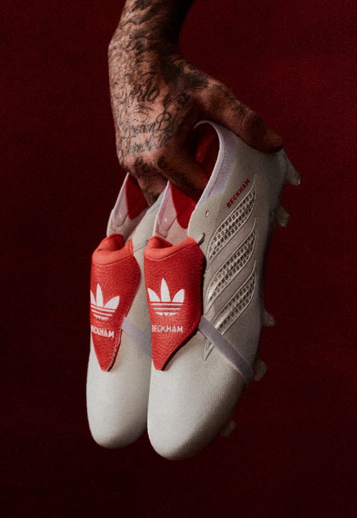 Becks 6